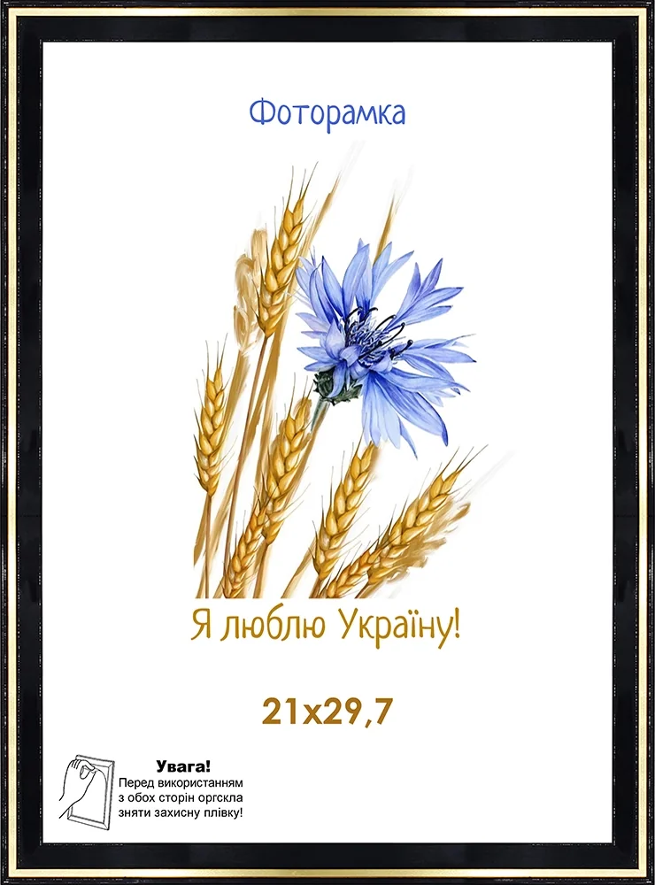 Фоторамка оргскло 21х29,7 чорна з золотою смужкою 1613-6001 — фото 2