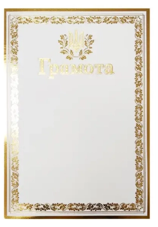 Грамота А-4 № 173 Офіційна — фото 2