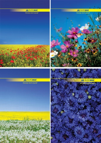 Книга BUROMAX А4 96л клітинка тверда обкладинка — фото 2