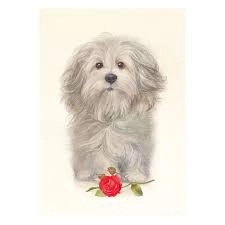 Листівка вітальна KINZA FZ001 — фото 2