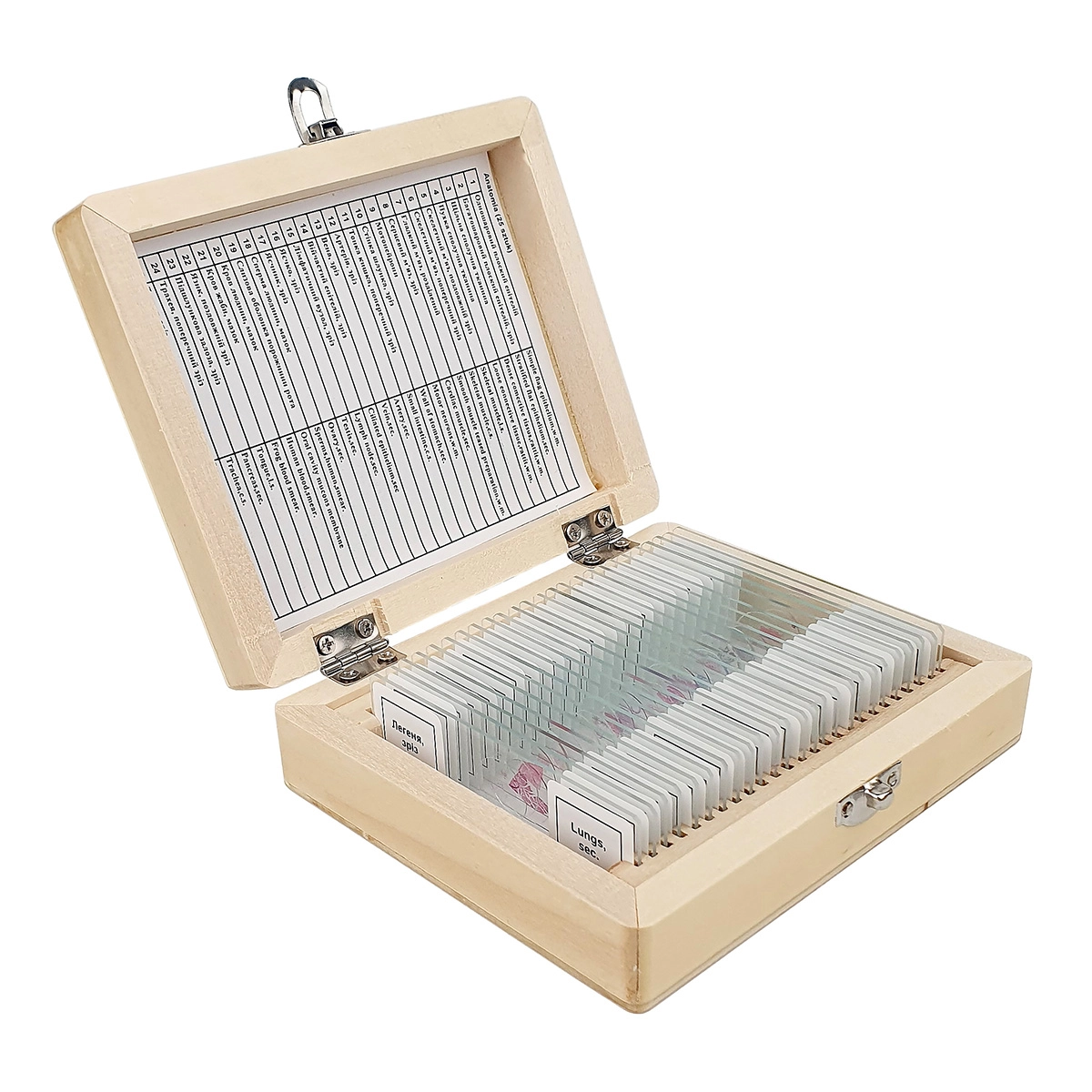 Набір мікропрепаратів SIGETA Анатомія (25 шт.) — фото 2