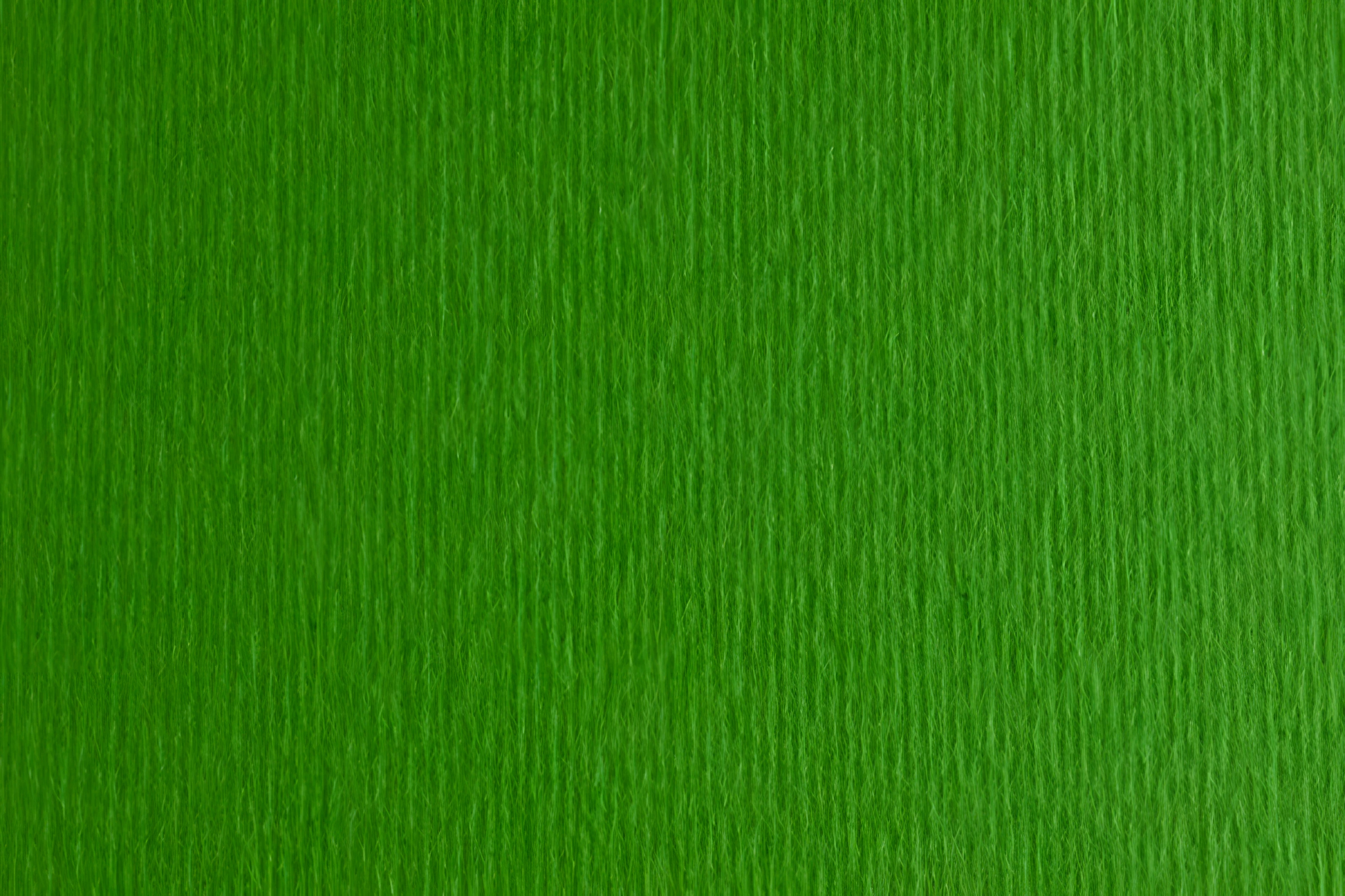 Папір для дизайну Elle Erre B1 (70*100см), №11 verde, 220г/м2, зелений, дві текстури, Fabriano