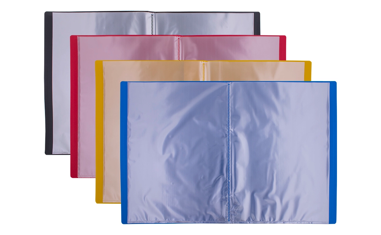 Папка А4 на 10 файлів Economix асорті — фото 3