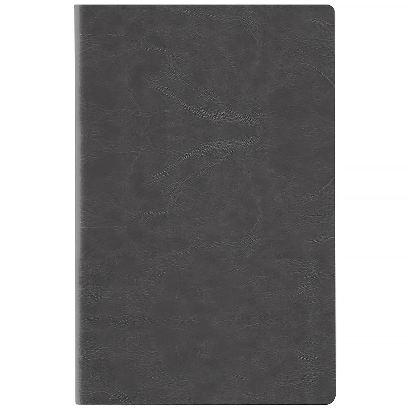 Щоденник датований 2026 Axent Partner City Soft 145х210 сірий 8821-26-06-A