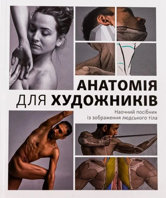 Анатомія для художників