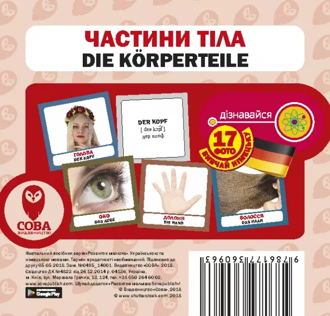 Частини тіла. 17 карток німецькою