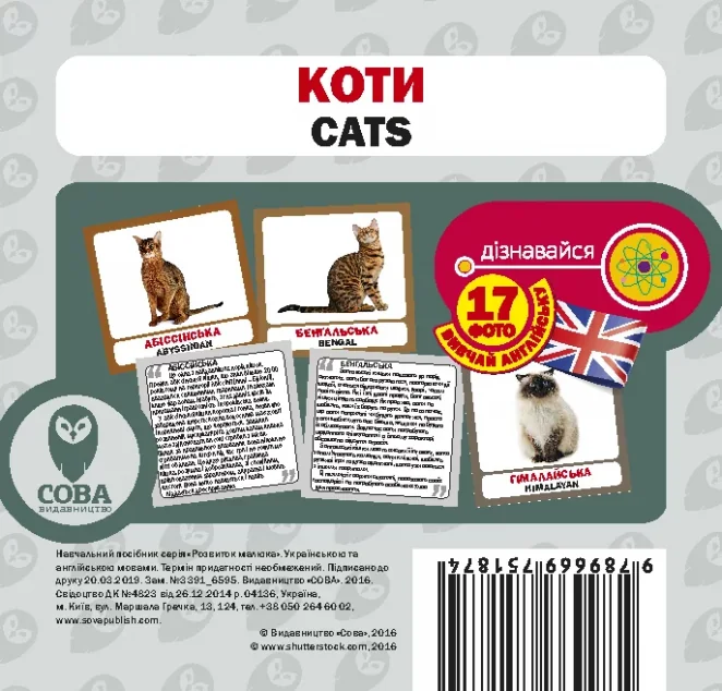 Коти. 17 карток англійською