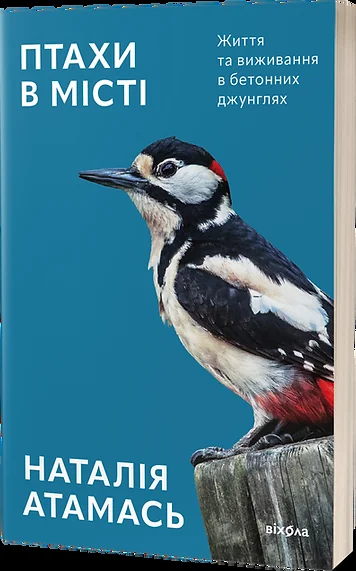 Птахи в місті