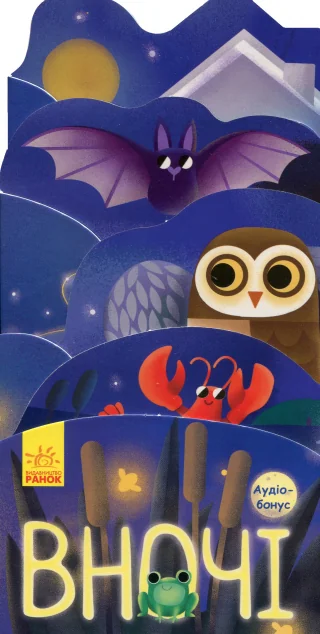 Що відбувається навколо? Вночі